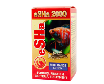Esha 2000 TEST no limit